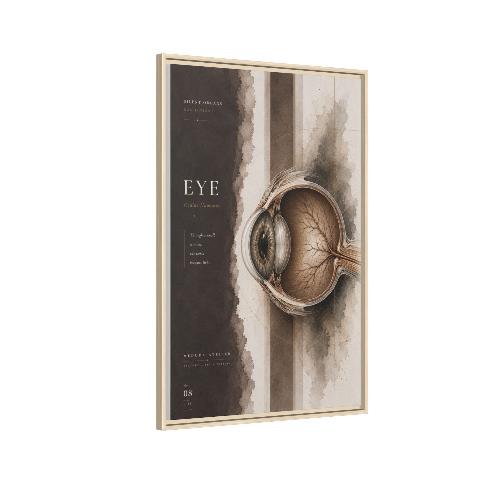 Silent Organs – Eye Wall Art | Luxury Anatomical Canvas Print | Museum-Inspired Fine Art
