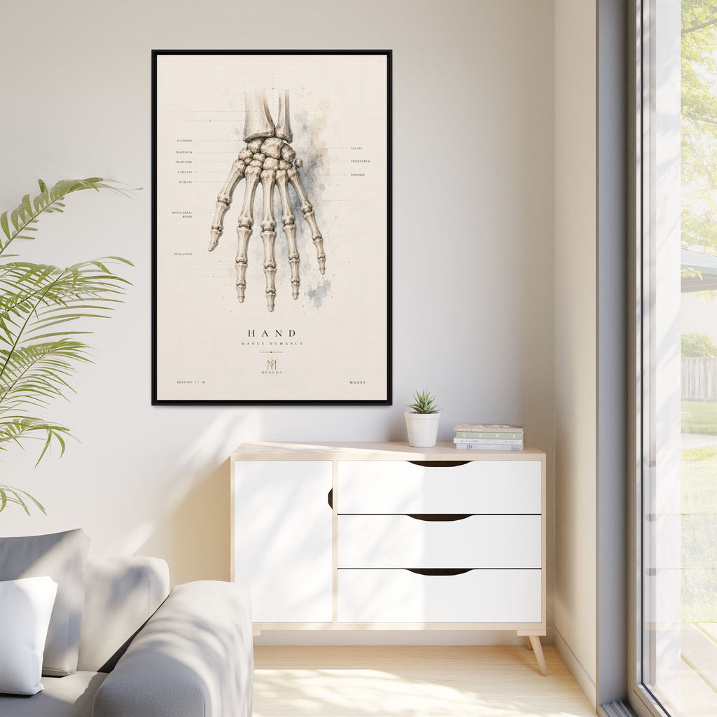 Anatomical Hand Skeleton Wall Art | Luxury Orthopaedic Canvas Print | Museum-Inspired Fine Art