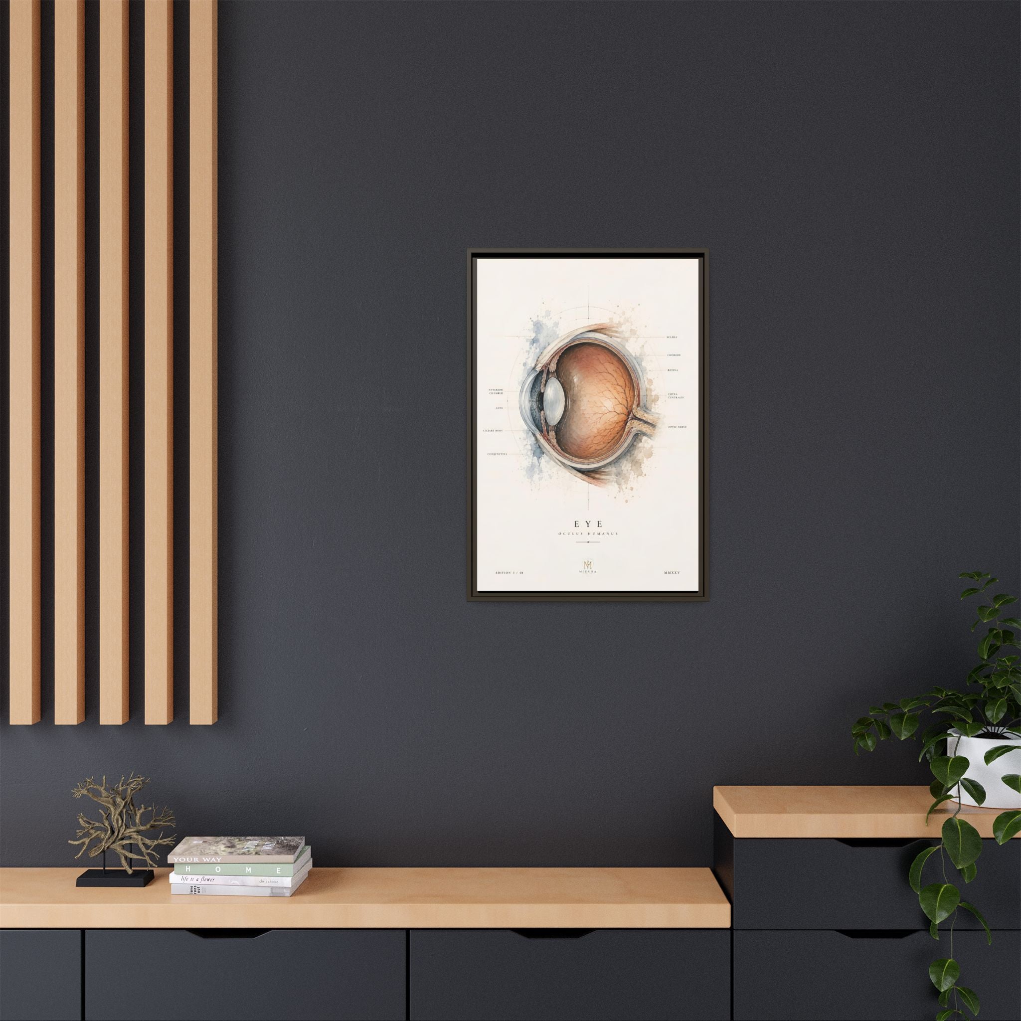 Anatomical Eye Canvas Print | Luxury Ophthalmology Wall Art | Museum-Inspired Medical Decor