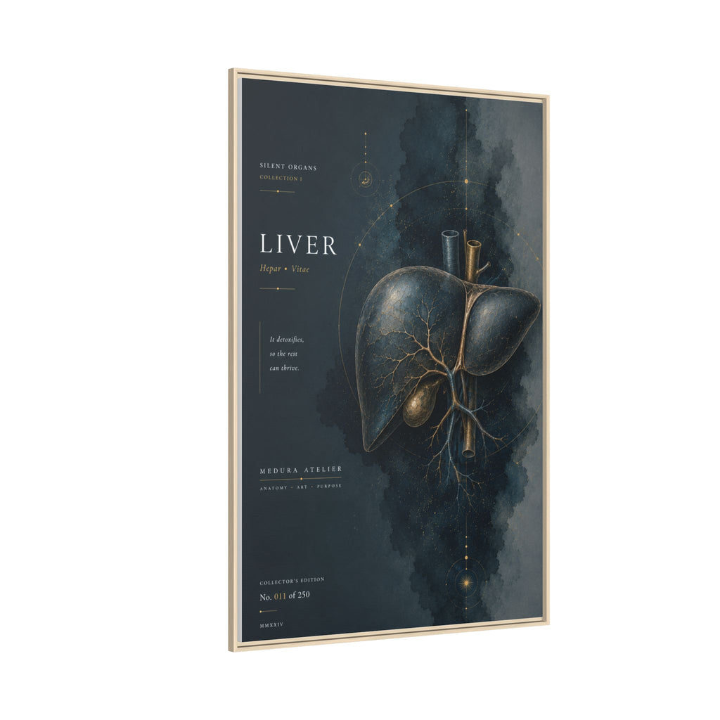 Silent Organs – Liver Wall Art | Luxury Anatomical Canvas Print | Museum-Inspired Fine Art