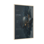 Silent Organs – Liver Wall Art | Luxury Anatomical Canvas Print | Museum-Inspired Fine Art
