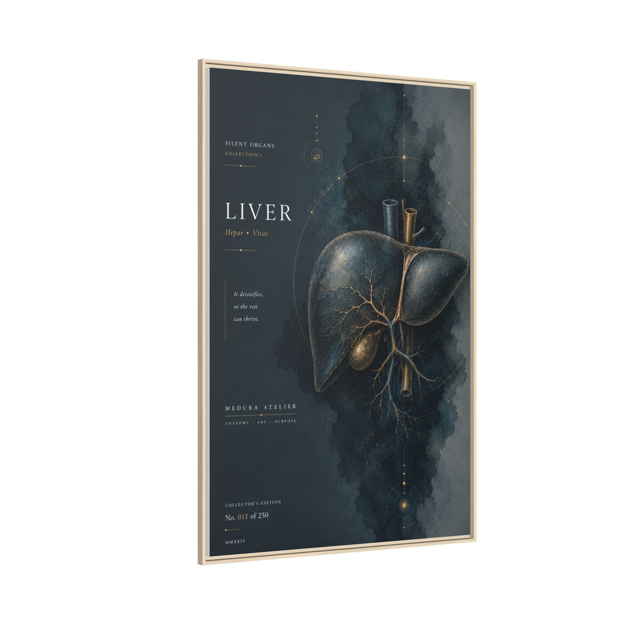 Silent Organs – Liver Wall Art | Luxury Anatomical Canvas Print | Museum-Inspired Fine Art