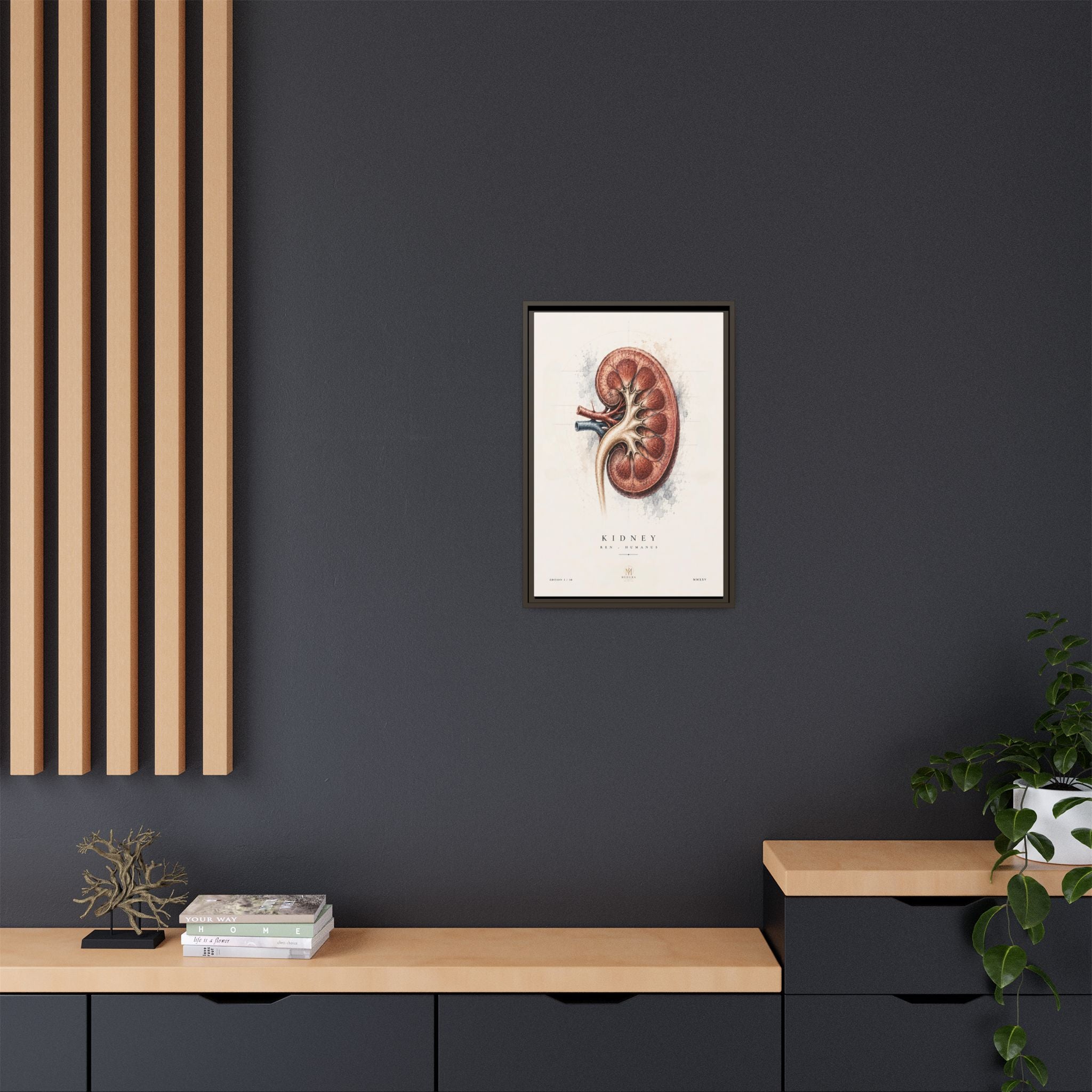 Anatomical Kidney Wall Art | Luxury Nephrology Canvas Print | Museum-Inspired Fine Art
