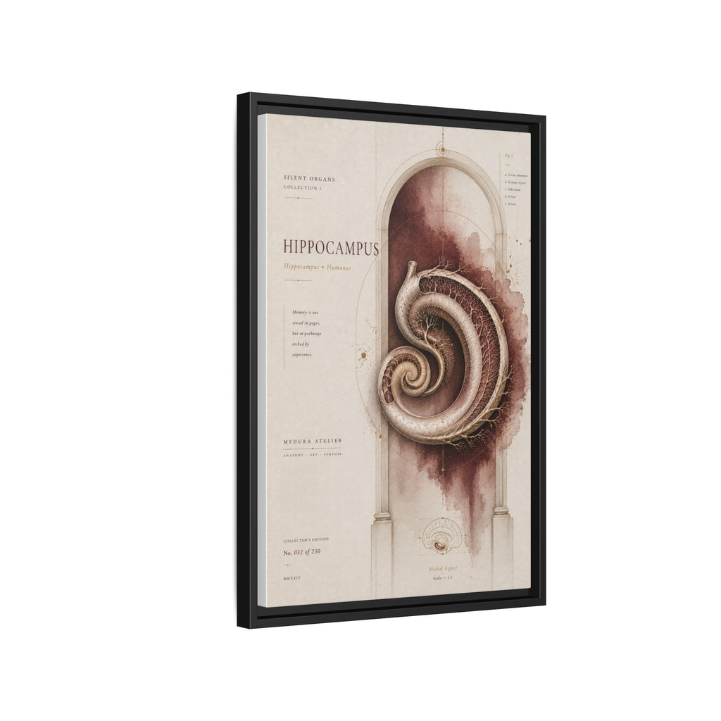 Silent Organs – Hippocampus Wall Art | Luxury Neuroscience Canvas Print | Museum-Inspired Fine Art