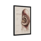 Silent Organs – Hippocampus Wall Art | Luxury Neuroscience Canvas Print | Museum-Inspired Fine Art