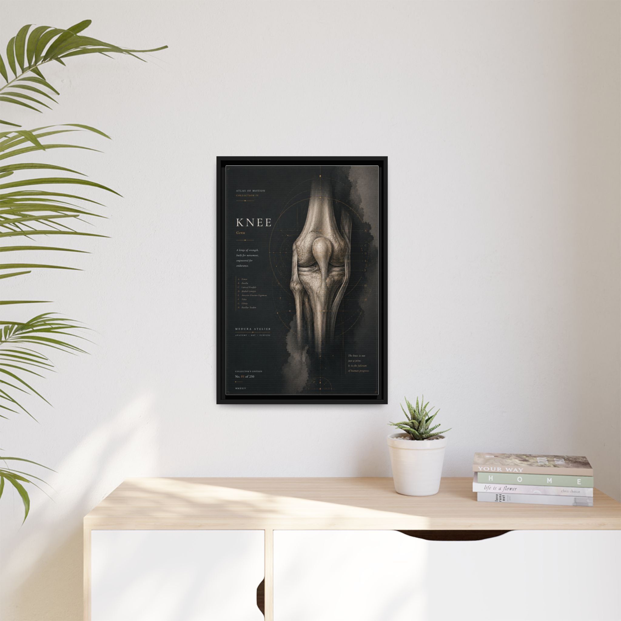 Atlas of Motion – Knee Wall Art | Luxury Orthopedic Canvas Print | Museum-Inspired Fine Art