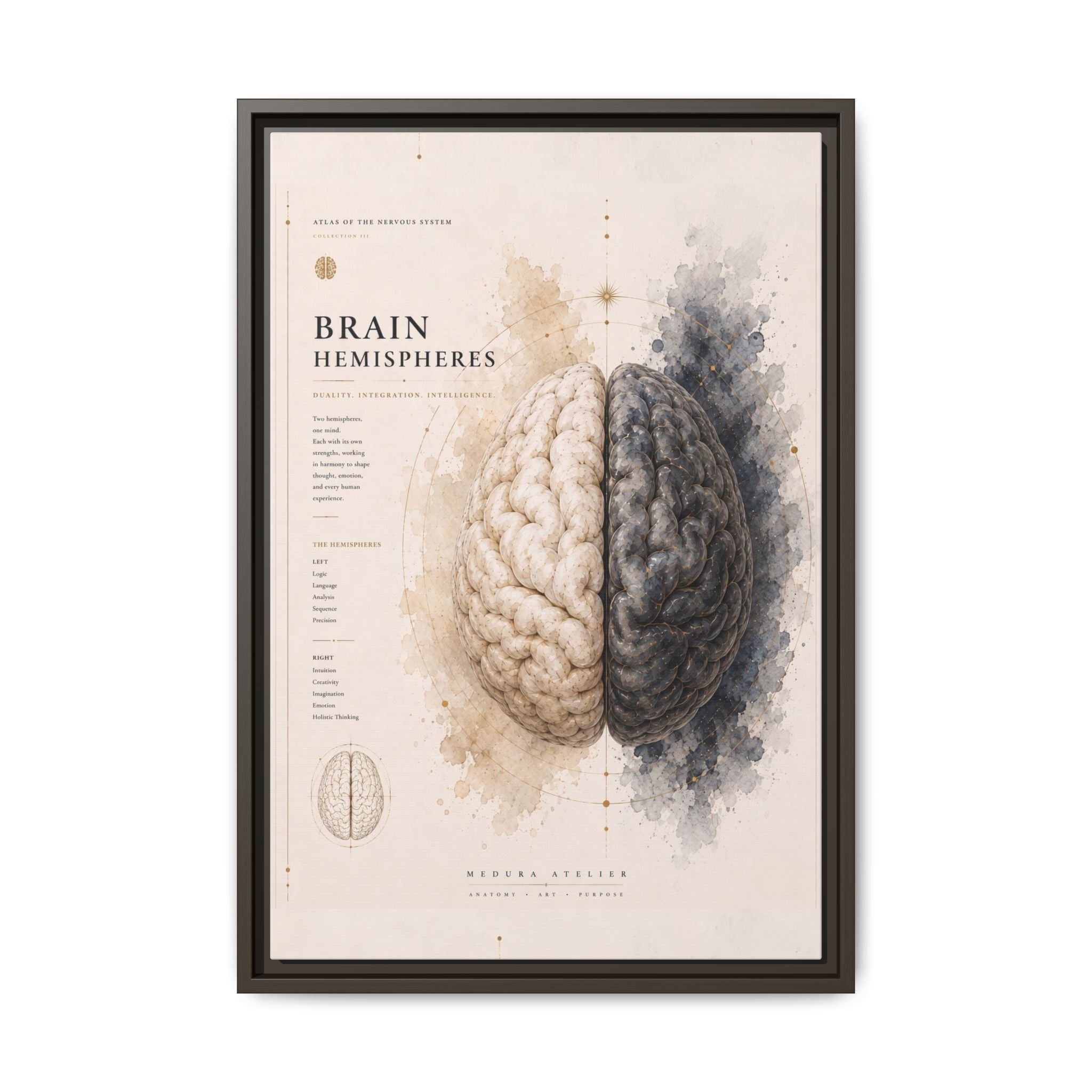 Brain Hemispheres Wall Art | Luxury Neuroscience Canvas Print | Museum-Inspired Fine Art