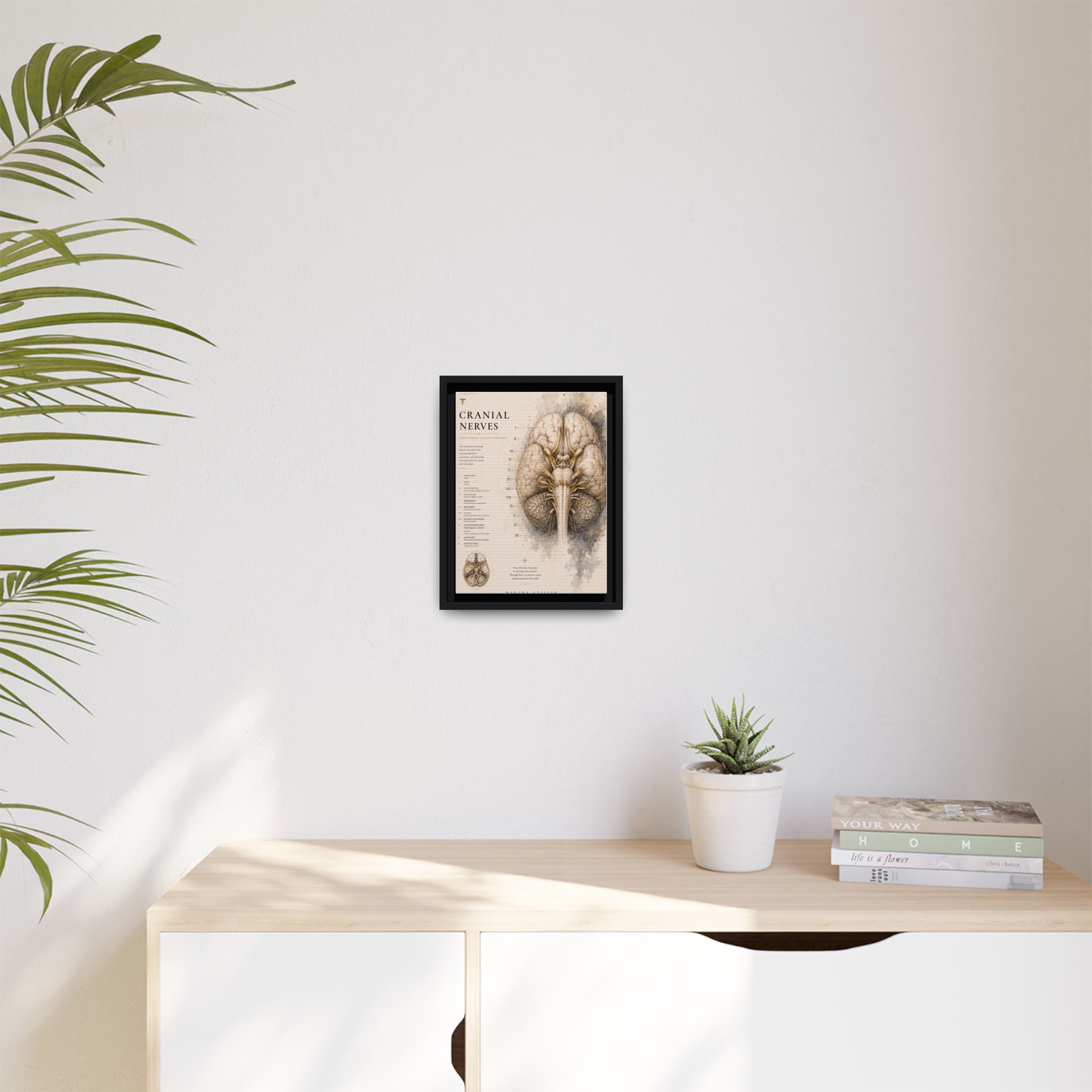 White Matter Brain Wall Art | Luxury Neuroscience Canvas Print | Museum-Inspired Fine Art