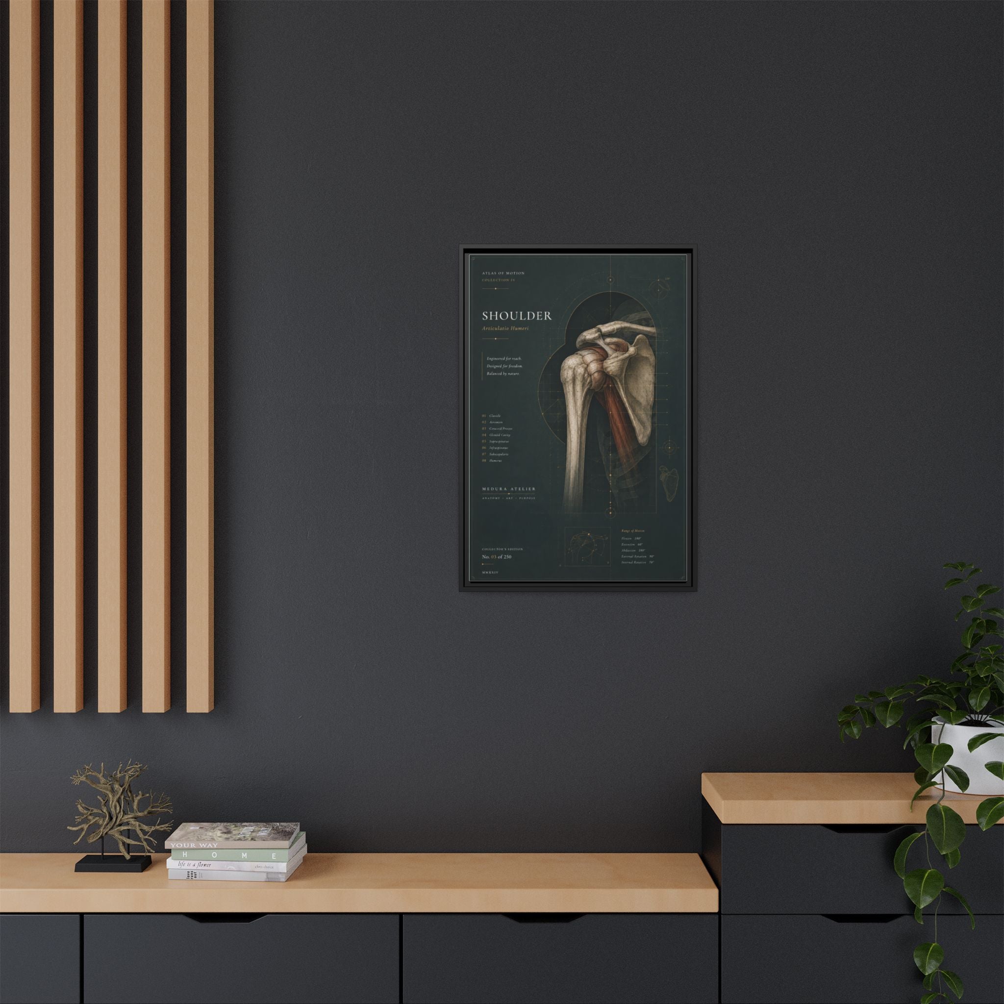 Copy of Atlas of Motion – Knee Wall Art | Luxury Orthopedic Canvas Print | Museum-Inspired Fine Art