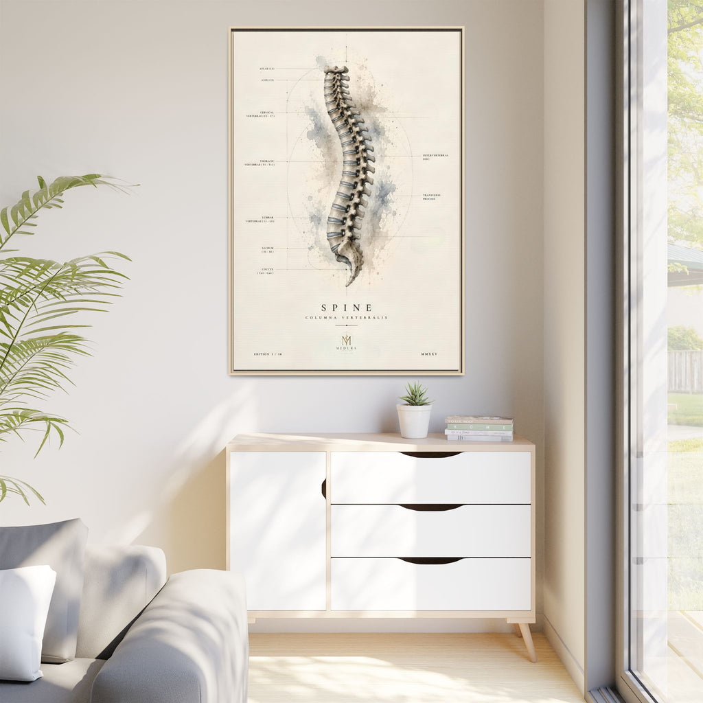 Anatomical Spine Wall Art | Luxury Vertebral Column Canvas Print | Museum-Inspired Fine Art