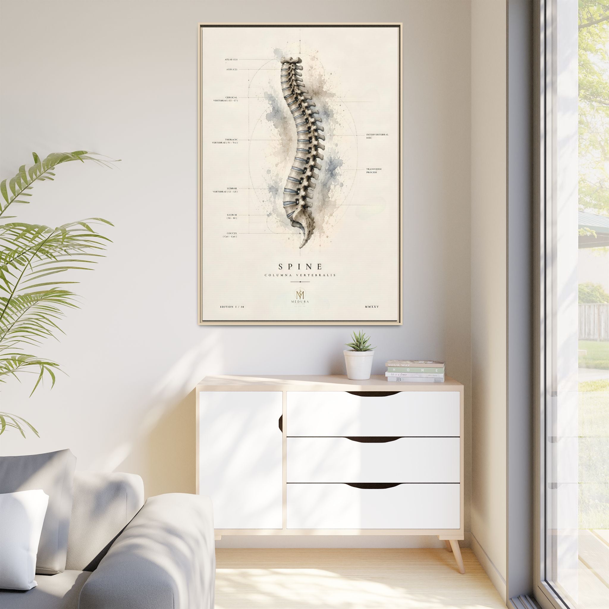 Anatomical Spine Wall Art | Luxury Vertebral Column Canvas Print | Museum-Inspired Fine Art