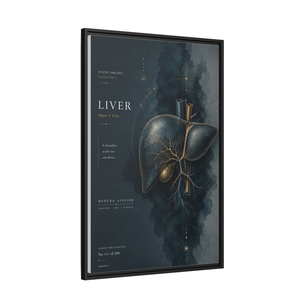 Silent Organs – Liver Wall Art | Luxury Anatomical Canvas Print | Museum-Inspired Fine Art