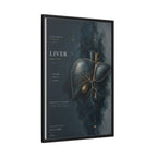 Silent Organs – Liver Wall Art | Luxury Anatomical Canvas Print | Museum-Inspired Fine Art