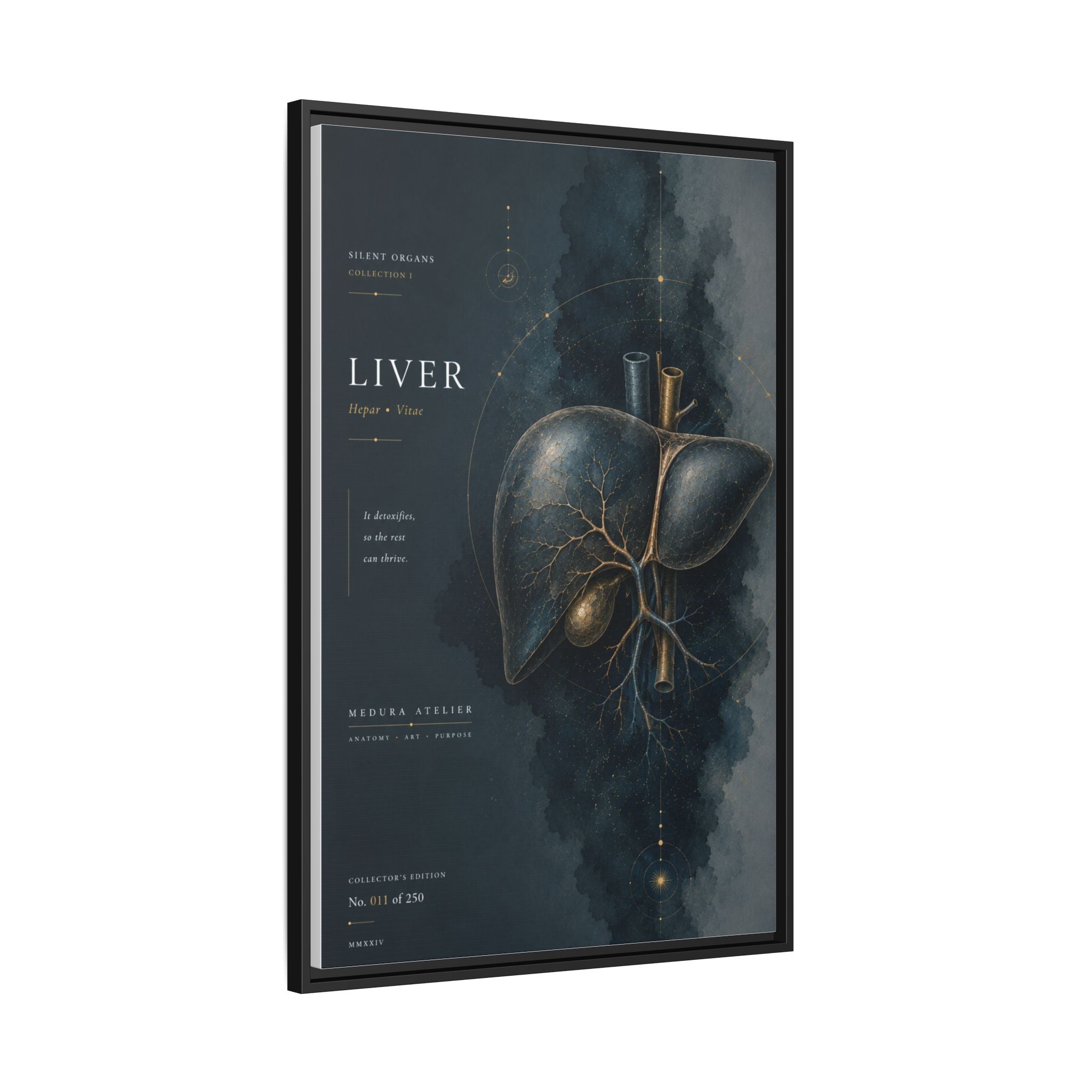 Silent Organs – Liver Wall Art | Luxury Anatomical Canvas Print | Museum-Inspired Fine Art