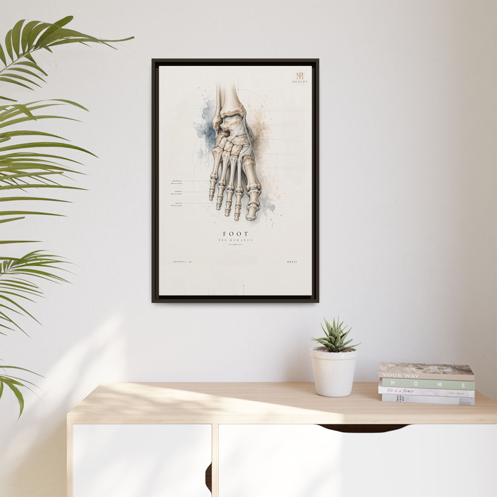 Anatomical Foot Skeleton Wall Art | Luxury Podiatry Canvas Print | Museum-Inspired Fine Art