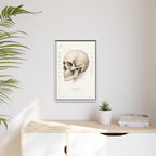 Anatomical Skull Wall Art | Luxury Medical Canvas Print | Museum-Inspired Fine Art