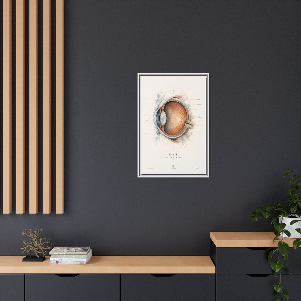 Anatomical Eye Canvas Print | Luxury Ophthalmology Wall Art | Museum-Inspired Medical Decor
