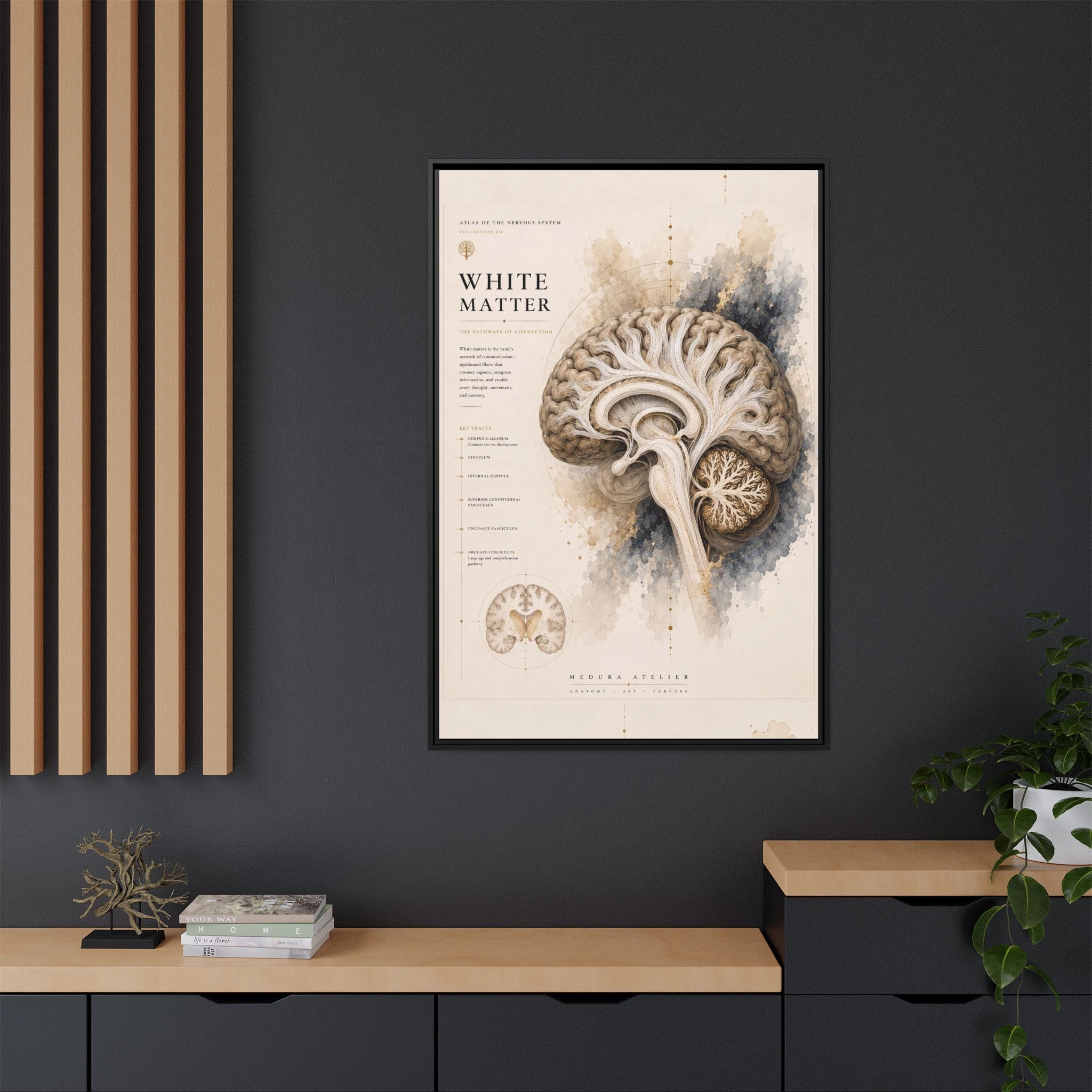 White Matter Brain Wall Art | Luxury Neuroscience Canvas Print | Museum-Inspired Fine Art