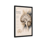 White Matter Brain Wall Art | Luxury Neuroscience Canvas Print | Museum-Inspired Fine Art