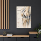 Orthopaedic Knee Anatomy Wall Art | Luxury Orthopedic Canvas Print | Museum-Inspired Fine Art