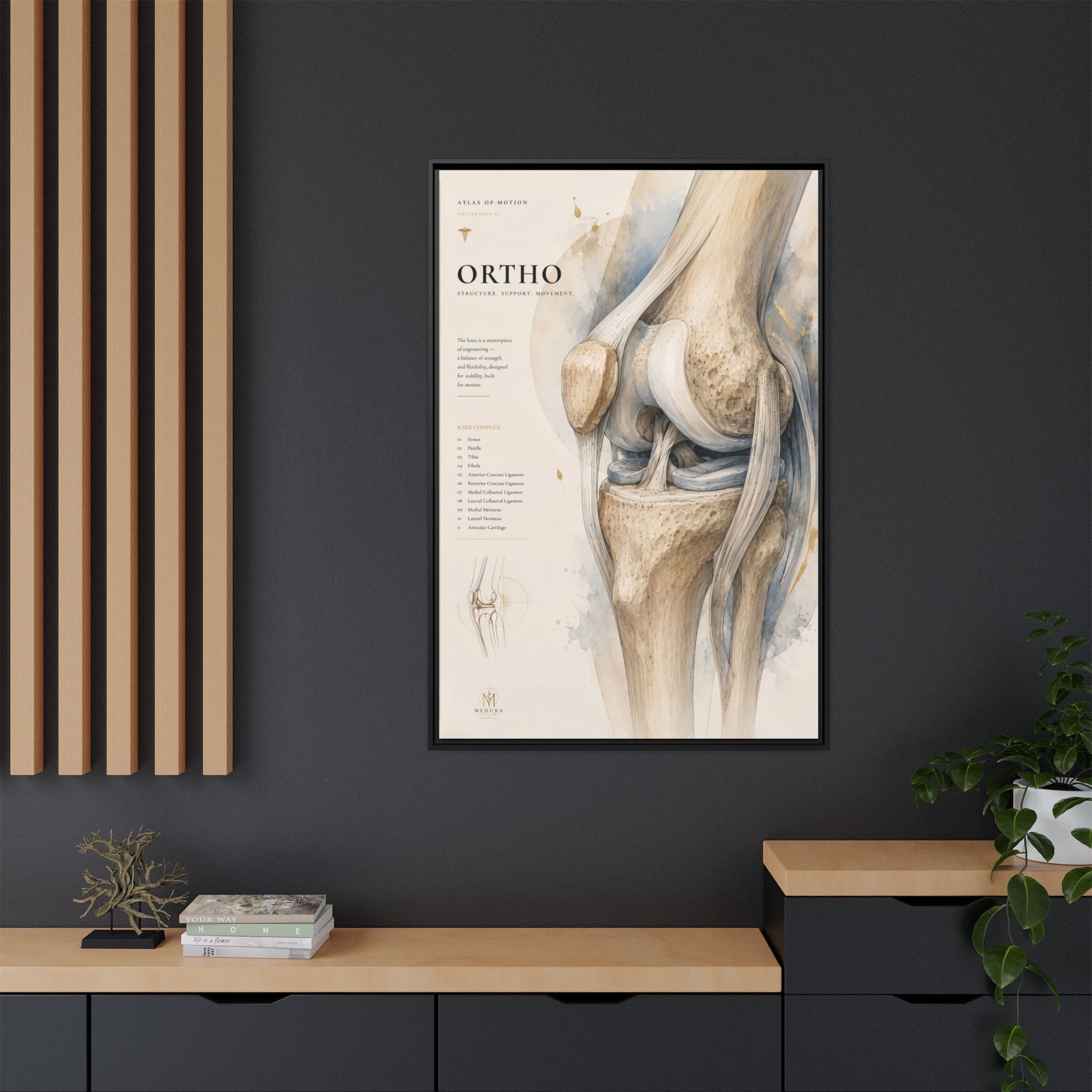 Orthopaedic Knee Anatomy Wall Art | Luxury Orthopedic Canvas Print | Museum-Inspired Fine Art