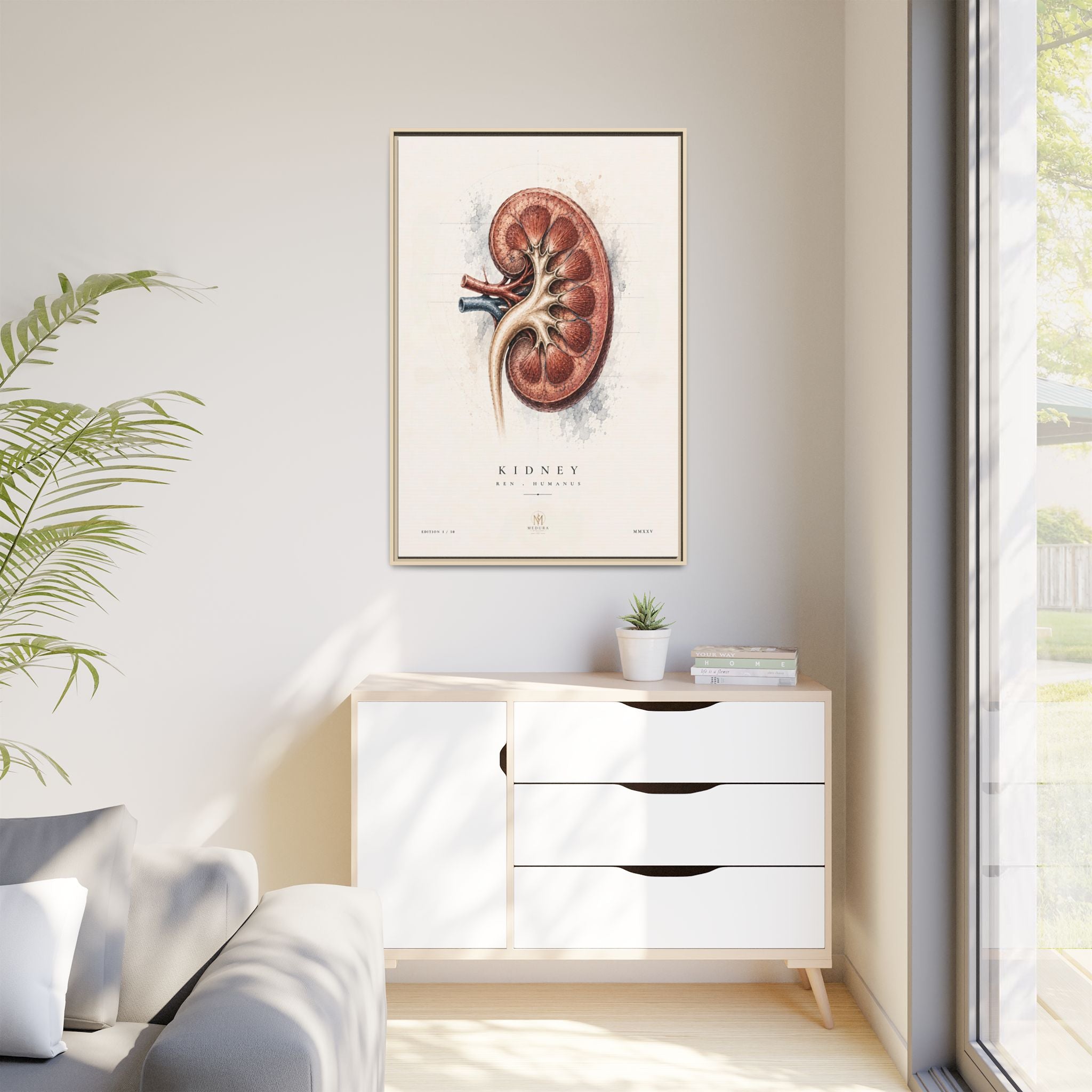 Anatomical Kidney Wall Art | Luxury Nephrology Canvas Print | Museum-Inspired Fine Art
