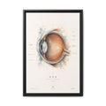 Anatomical Eye Canvas Print | Luxury Ophthalmology Wall Art | Museum-Inspired Medical Decor