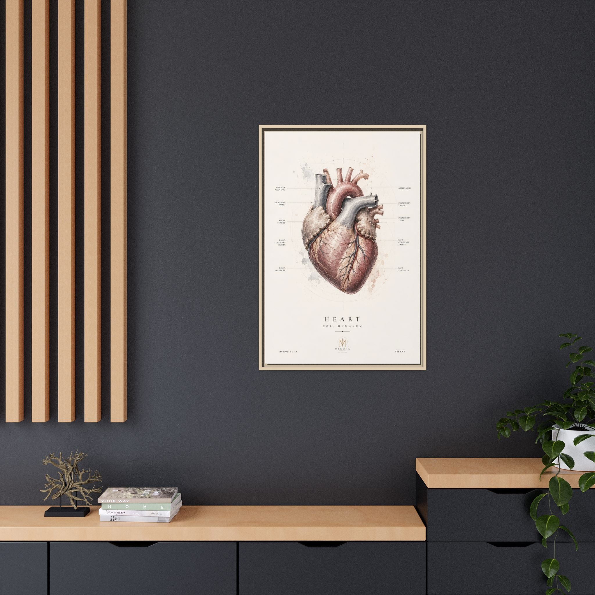 Anatomical Heart Wall Art | Luxury Medical Canvas Print | Museum-Inspired Fine Art