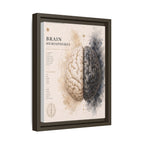 Brain Hemispheres Wall Art | Luxury Neuroscience Canvas Print | Museum-Inspired Fine Art