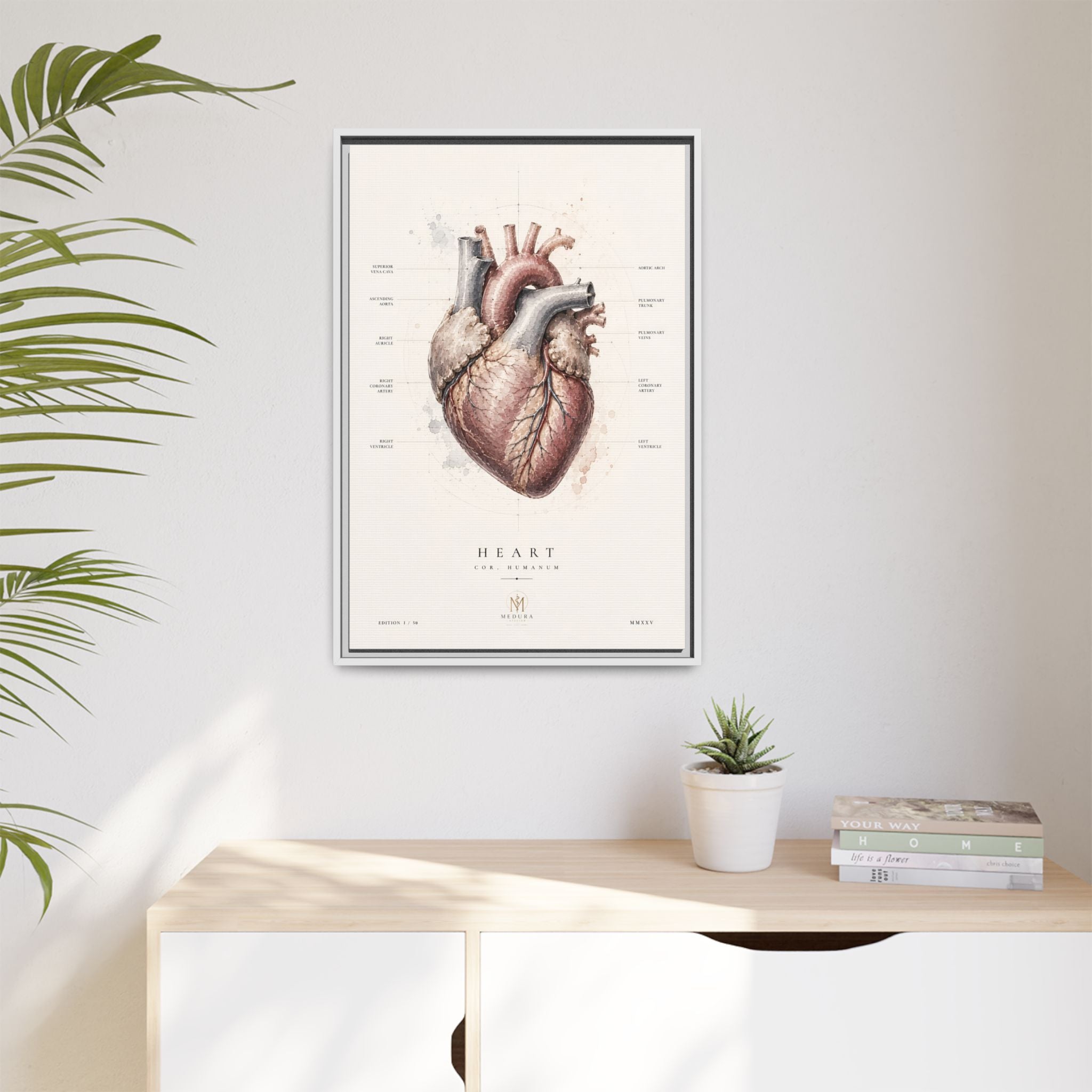 Anatomical Heart Wall Art | Luxury Medical Canvas Print | Museum-Inspired Fine Art