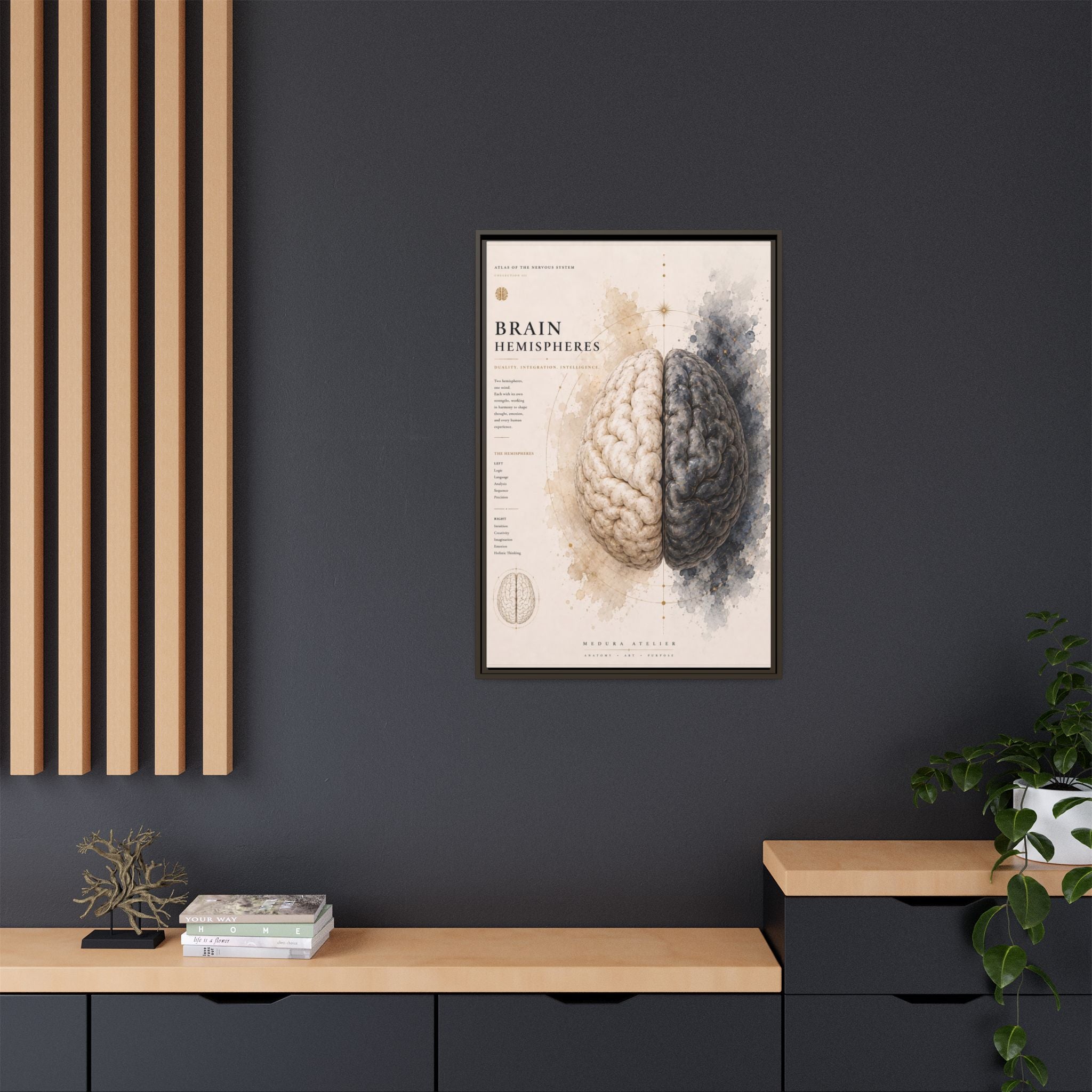Brain Hemispheres Wall Art | Luxury Neuroscience Canvas Print | Museum-Inspired Fine Art