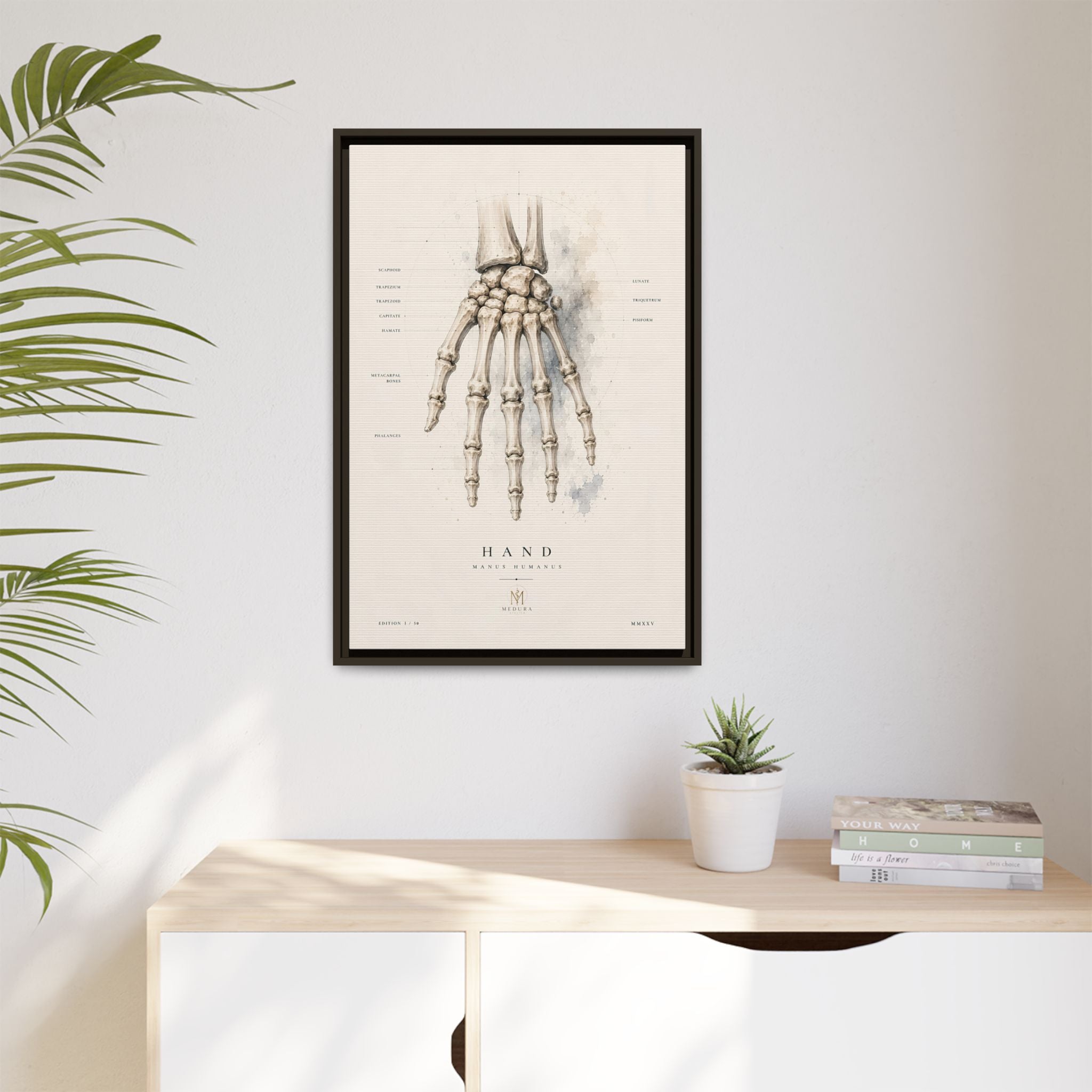 Anatomical Hand Skeleton Wall Art | Luxury Orthopaedic Canvas Print | Museum-Inspired Fine Art
