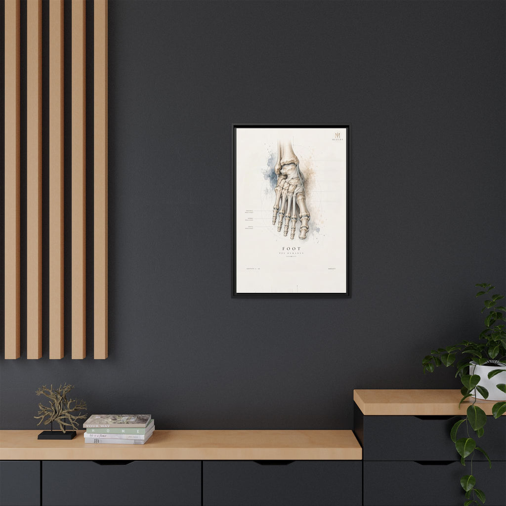 Anatomical Foot Skeleton Wall Art | Luxury Podiatry Canvas Print | Museum-Inspired Fine Art