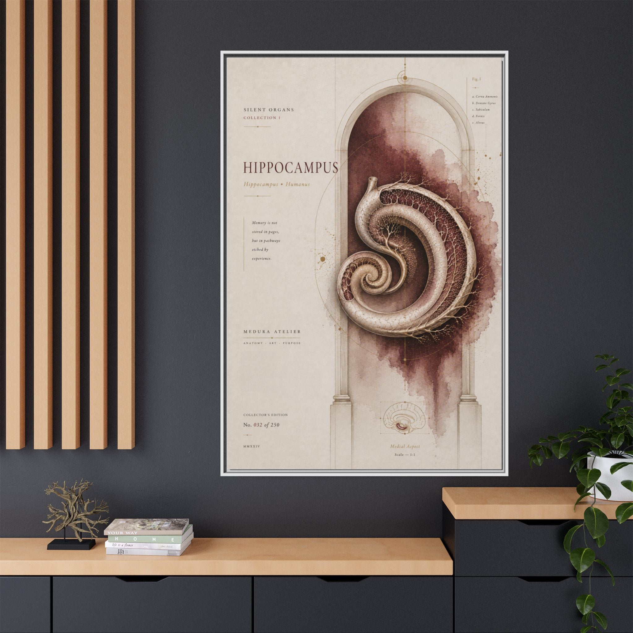 Silent Organs – Hippocampus Wall Art | Luxury Neuroscience Canvas Print | Museum-Inspired Fine Art