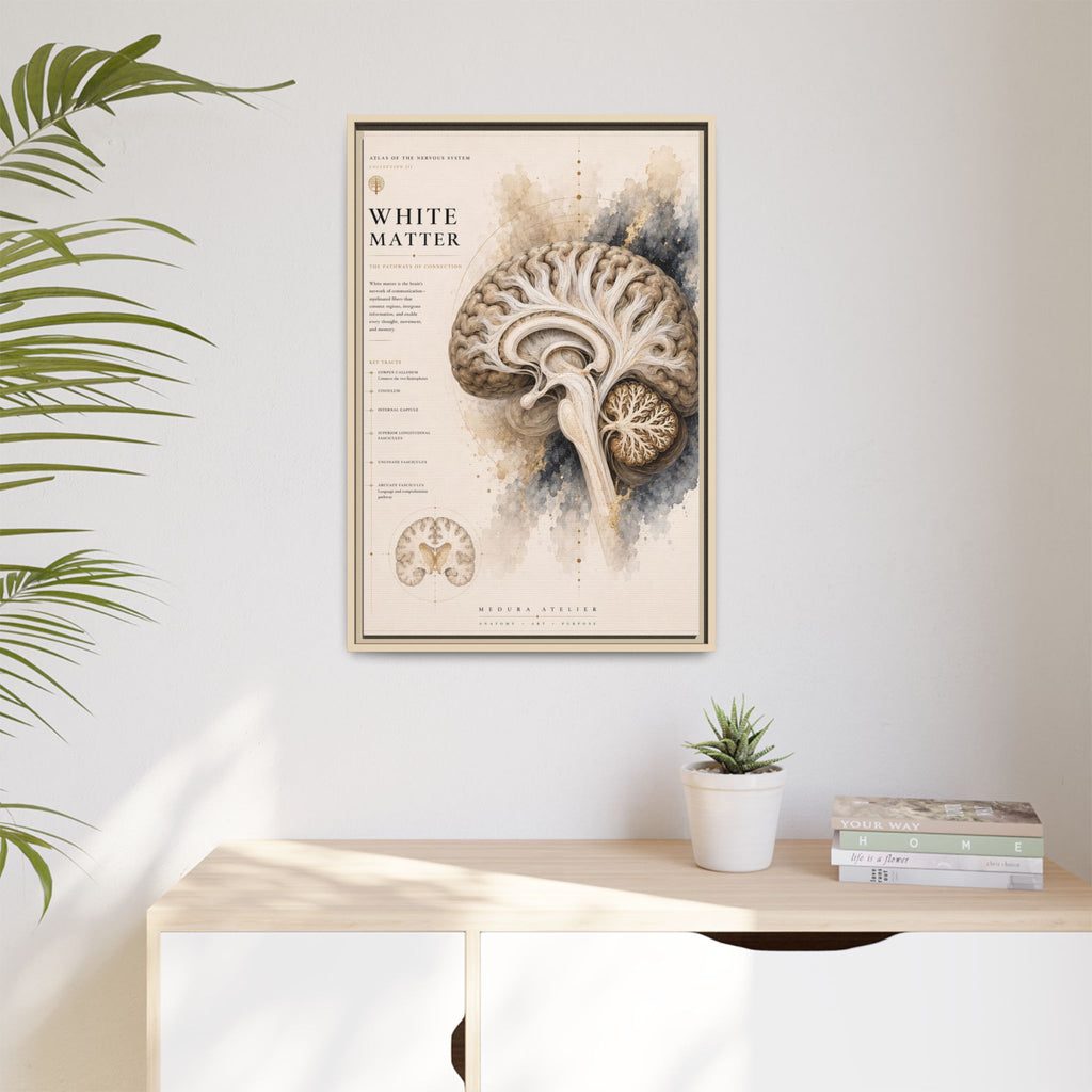 White Matter Brain Wall Art | Luxury Neuroscience Canvas Print | Museum-Inspired Fine Art