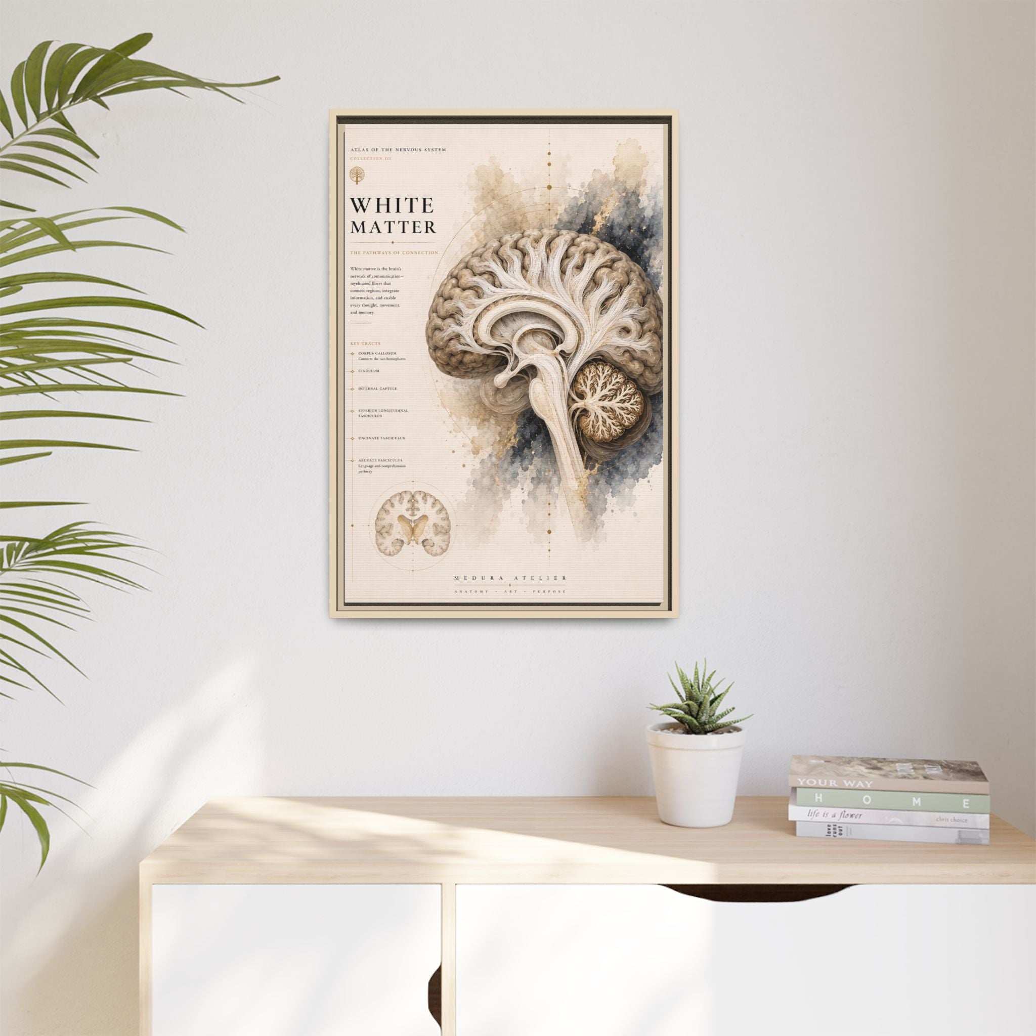 White Matter Brain Wall Art | Luxury Neuroscience Canvas Print | Museum-Inspired Fine Art