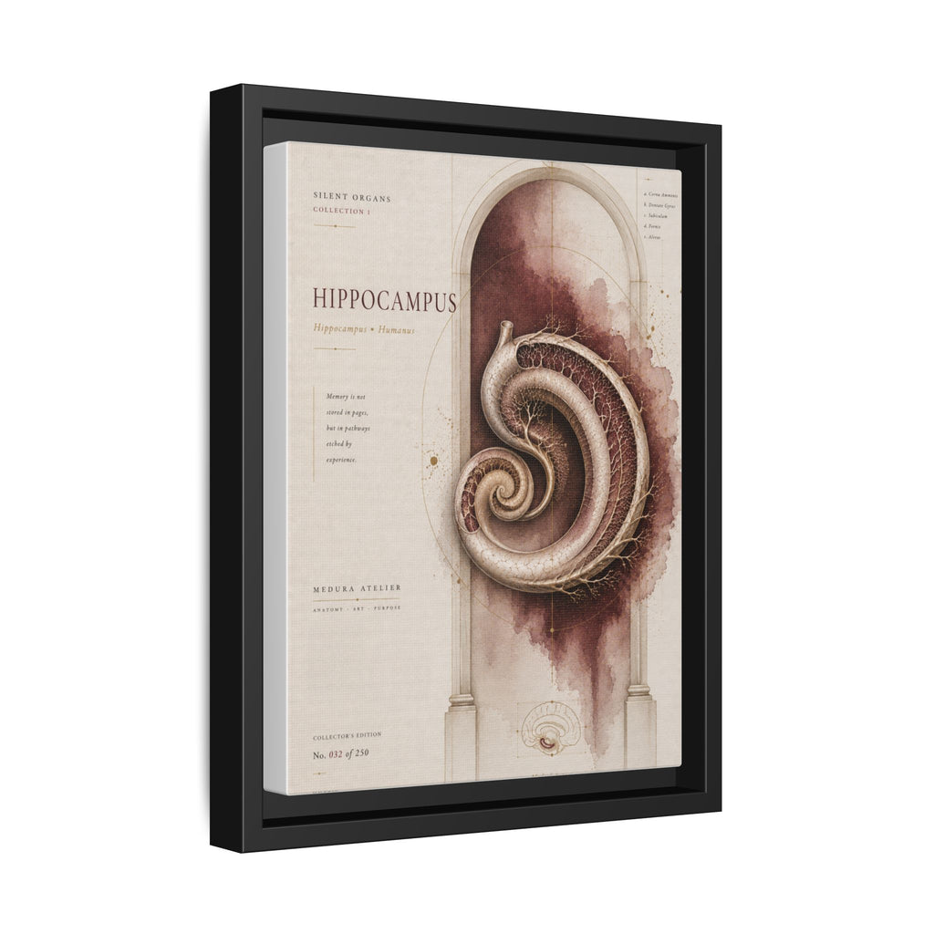 Silent Organs – Hippocampus Wall Art | Luxury Neuroscience Canvas Print | Museum-Inspired Fine Art