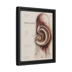Silent Organs – Hippocampus Wall Art | Luxury Neuroscience Canvas Print | Museum-Inspired Fine Art