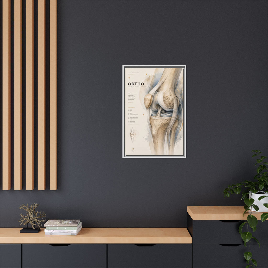 Orthopaedic Knee Anatomy Wall Art | Luxury Orthopedic Canvas Print | Museum-Inspired Fine Art