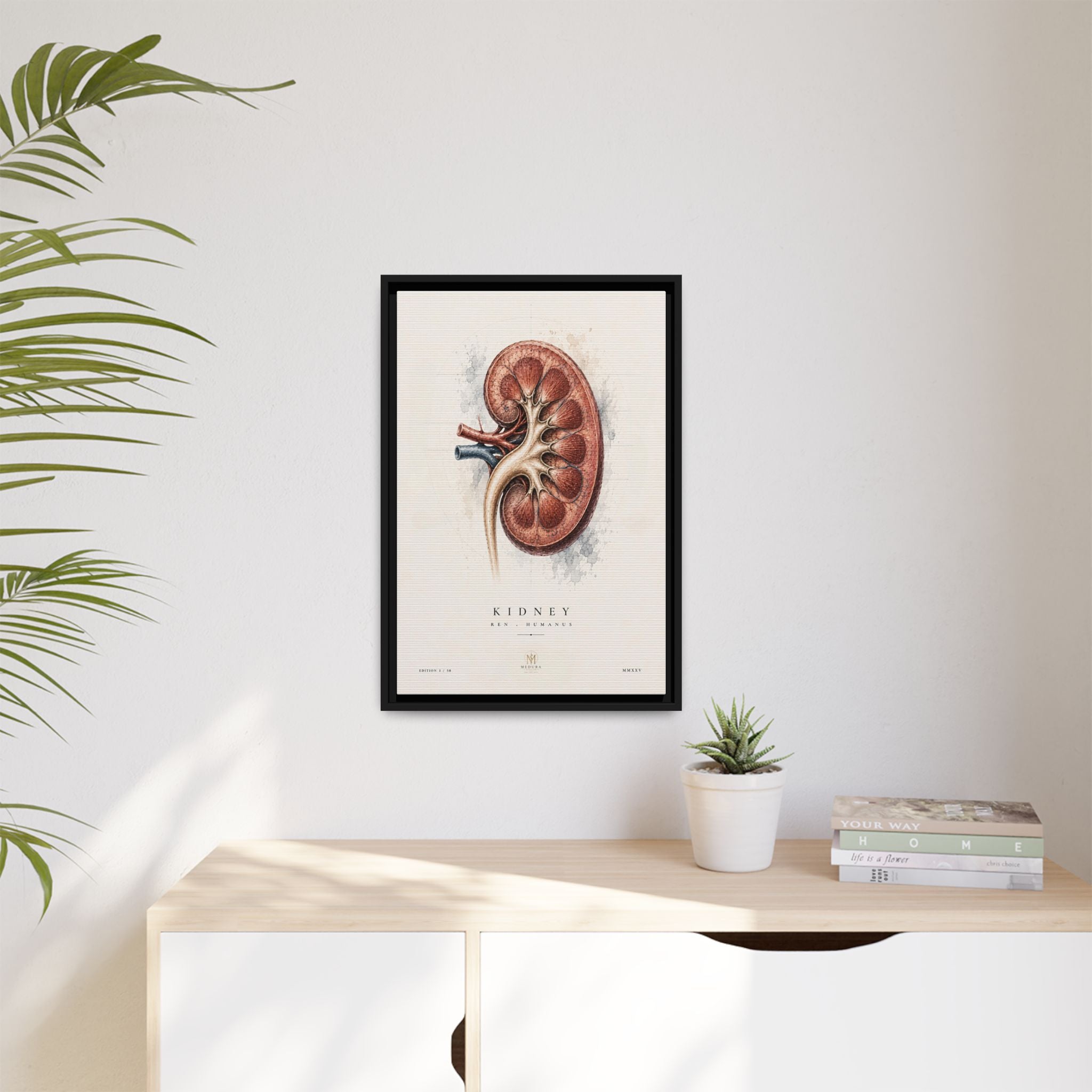 Anatomical Kidney Wall Art | Luxury Nephrology Canvas Print | Museum-Inspired Fine Art