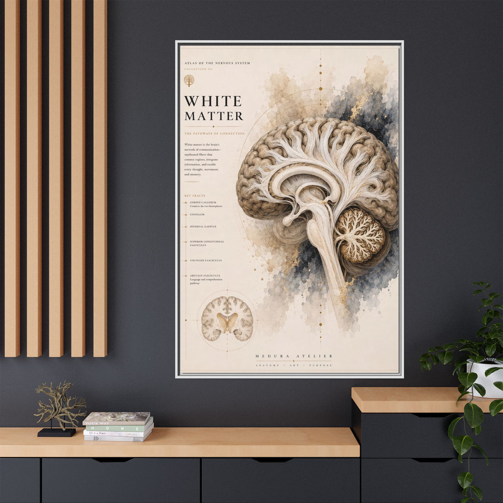 White Matter Brain Wall Art | Luxury Neuroscience Canvas Print | Museum-Inspired Fine Art