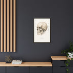 Anatomical Skull Wall Art | Luxury Medical Canvas Print | Museum-Inspired Fine Art