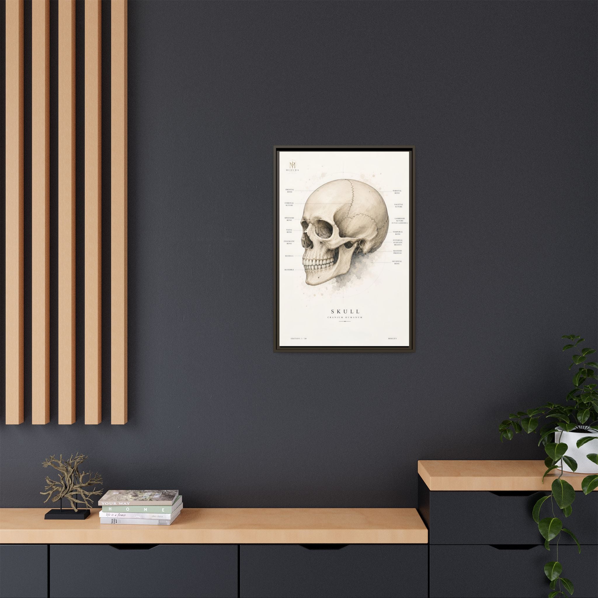 Anatomical Skull Wall Art | Luxury Medical Canvas Print | Museum-Inspired Fine Art