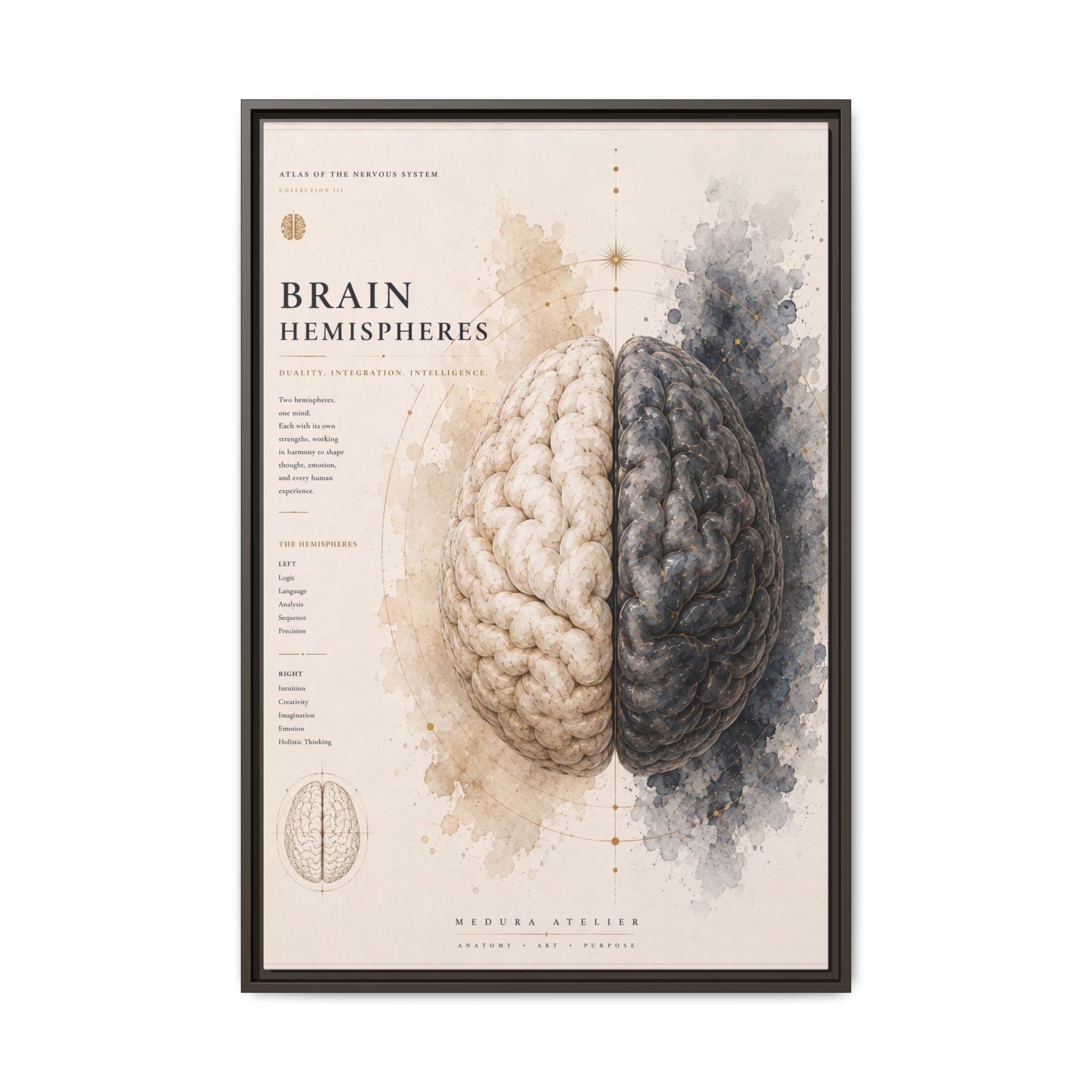 Brain Hemispheres Wall Art | Luxury Neuroscience Canvas Print | Museum-Inspired Fine Art