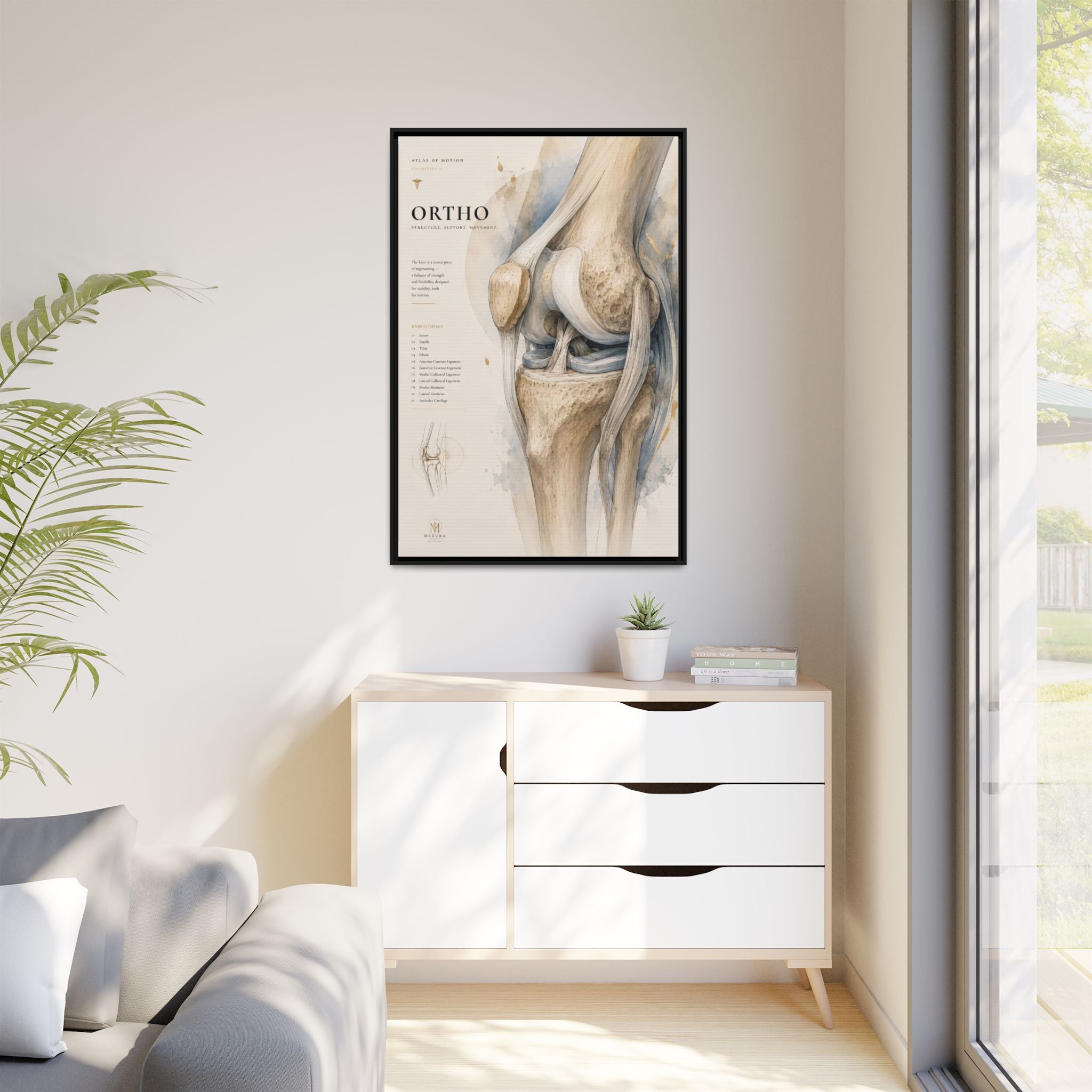 Orthopaedic Knee Anatomy Wall Art | Luxury Orthopedic Canvas Print | Museum-Inspired Fine Art