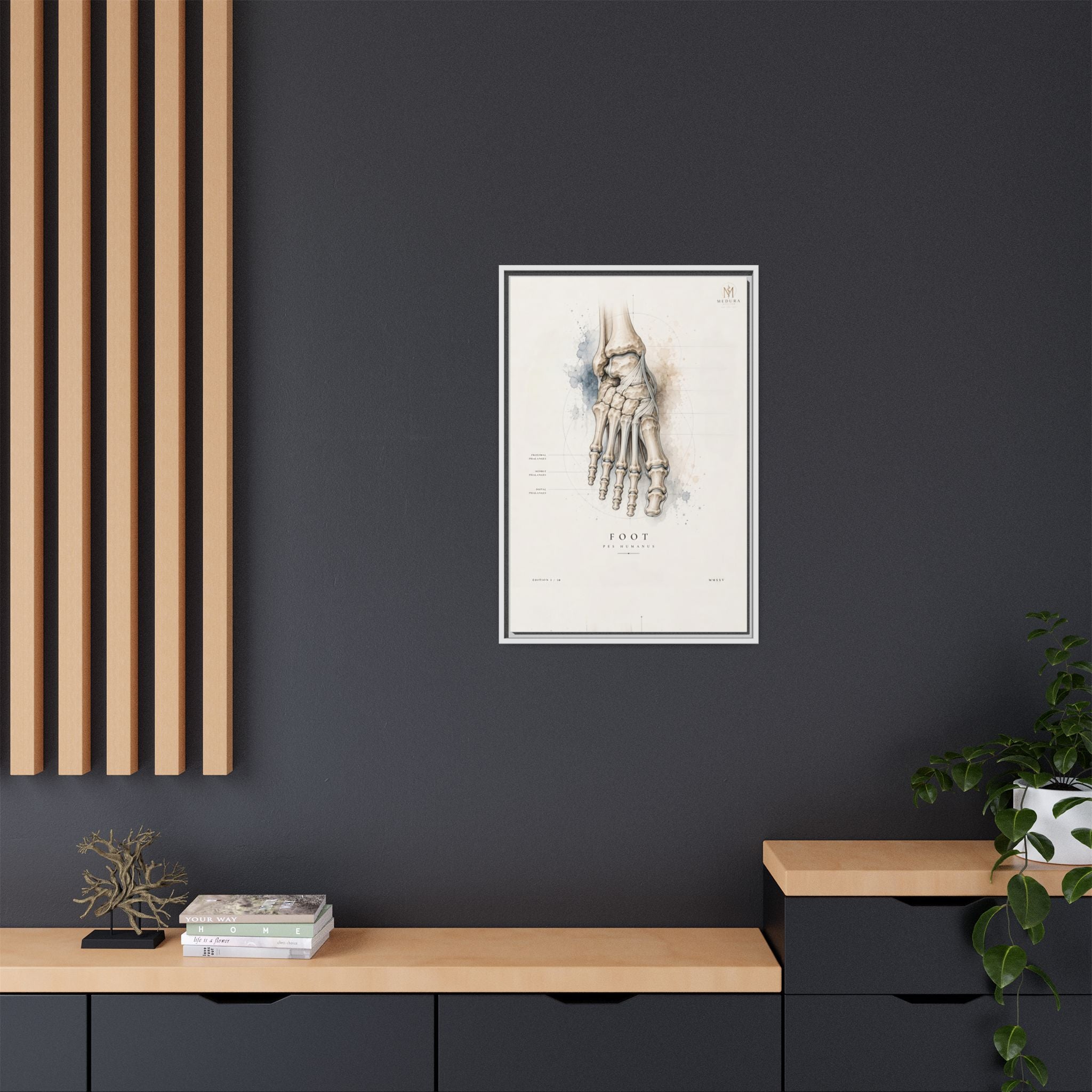 Anatomical Foot Skeleton Wall Art | Luxury Podiatry Canvas Print | Museum-Inspired Fine Art