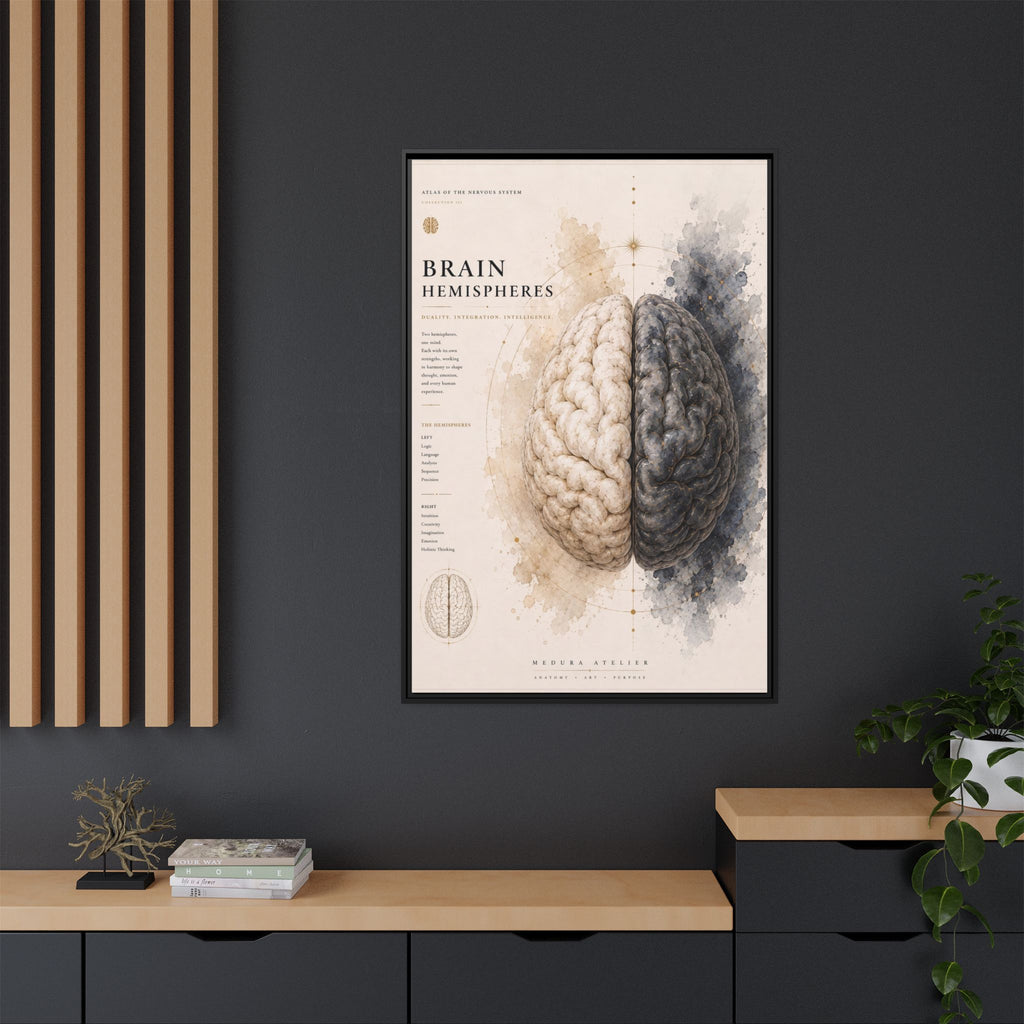 Brain Hemispheres Wall Art | Luxury Neuroscience Canvas Print | Museum-Inspired Fine Art