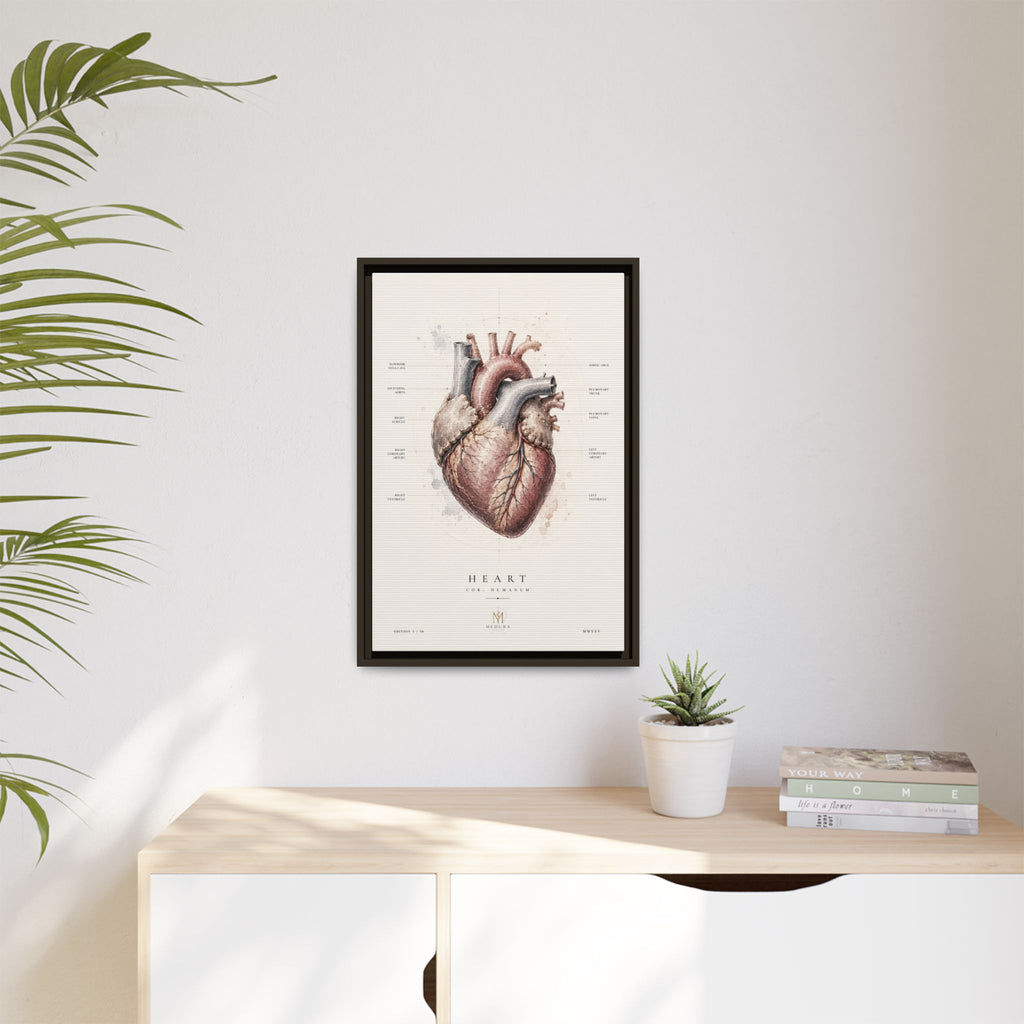 Anatomical Heart Wall Art | Luxury Medical Canvas Print | Museum-Inspired Fine Art