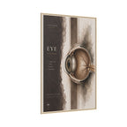 Silent Organs – Eye Wall Art | Luxury Anatomical Canvas Print | Museum-Inspired Fine Art