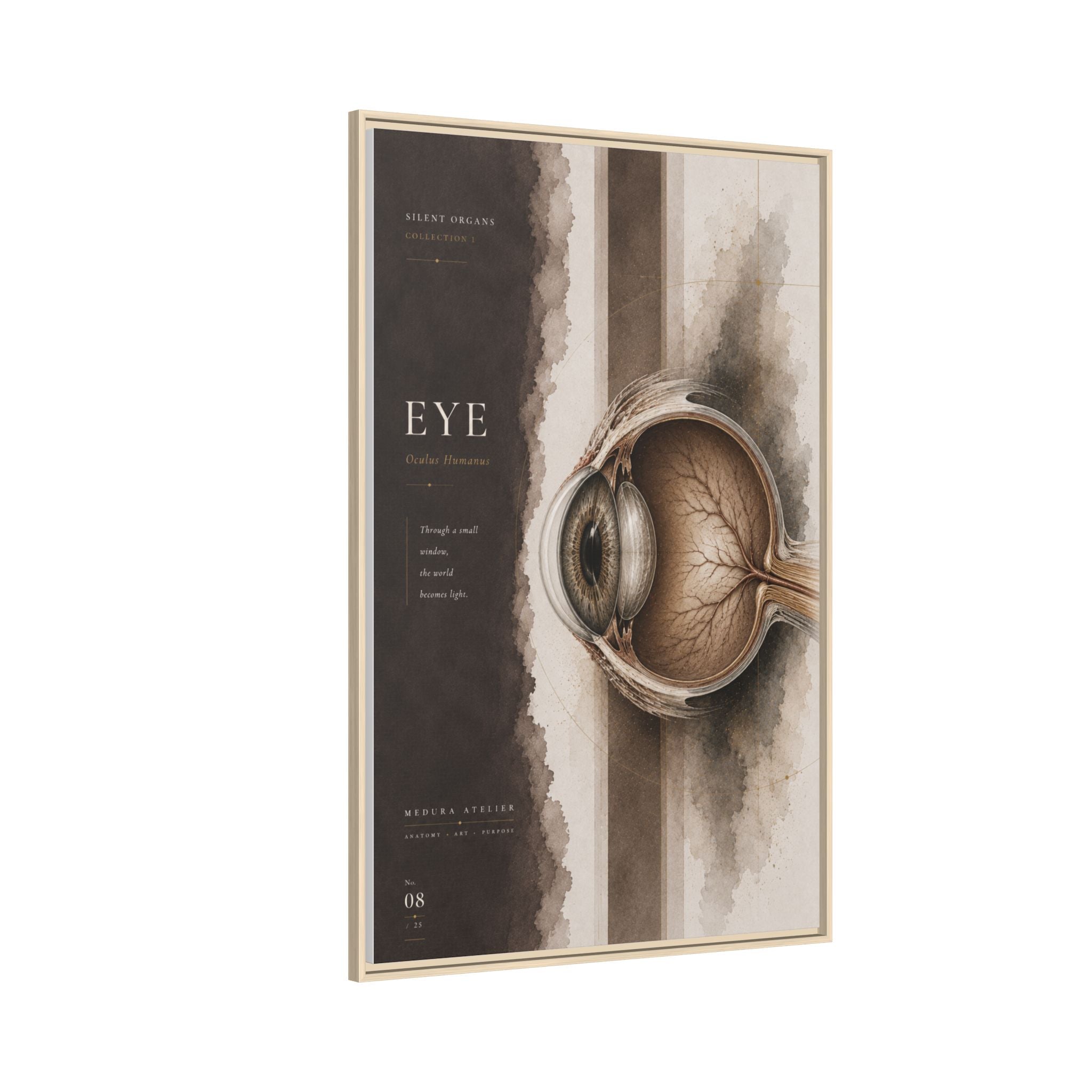 Silent Organs – Eye Wall Art | Luxury Anatomical Canvas Print | Museum-Inspired Fine Art